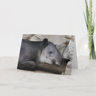 Cartão Baird's Tapir Greeting Card