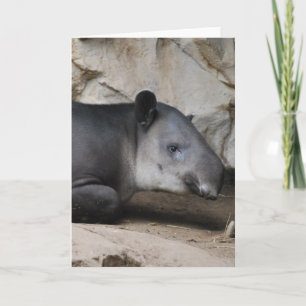 Cartão Baird's Tapir Greeting Card