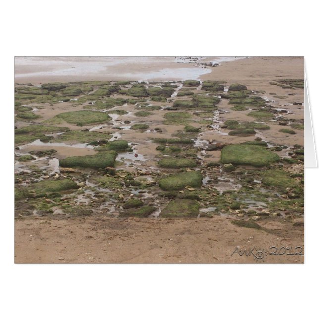 Cartão Baixo Nível 2 (Frente Horizontal)