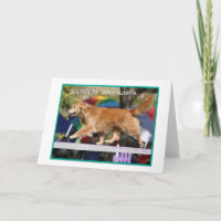 'Balance' Golden Retriever Agility Birthday Card