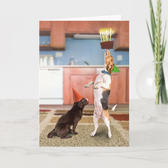 Cartão Balancing Cake (Frente)