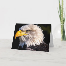 Cartão Bald Eagle