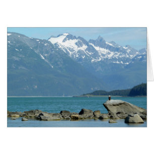 Cartão Bald Eagle em Skagway Alaska
