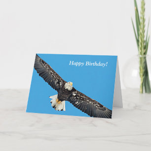 Cartão Bald Eagle em voo