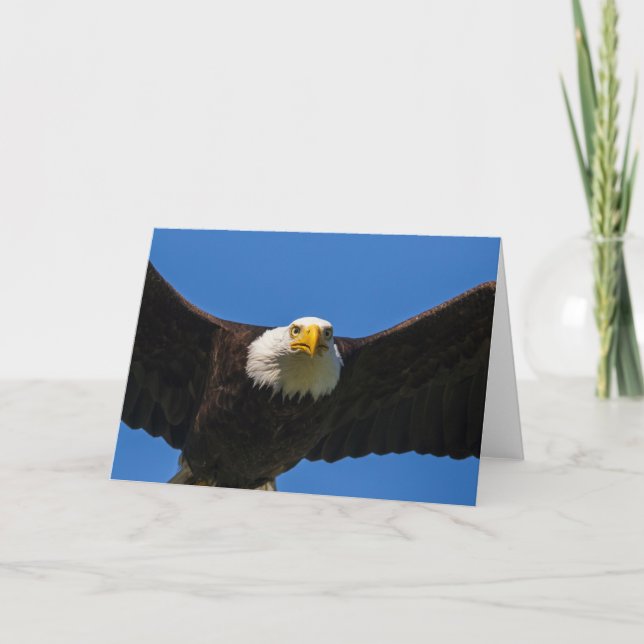 Cartão Bald Eagle Flyby Up Close (Frente)