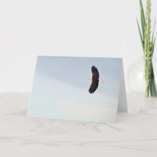 Cartão Bald Eagle flying Card