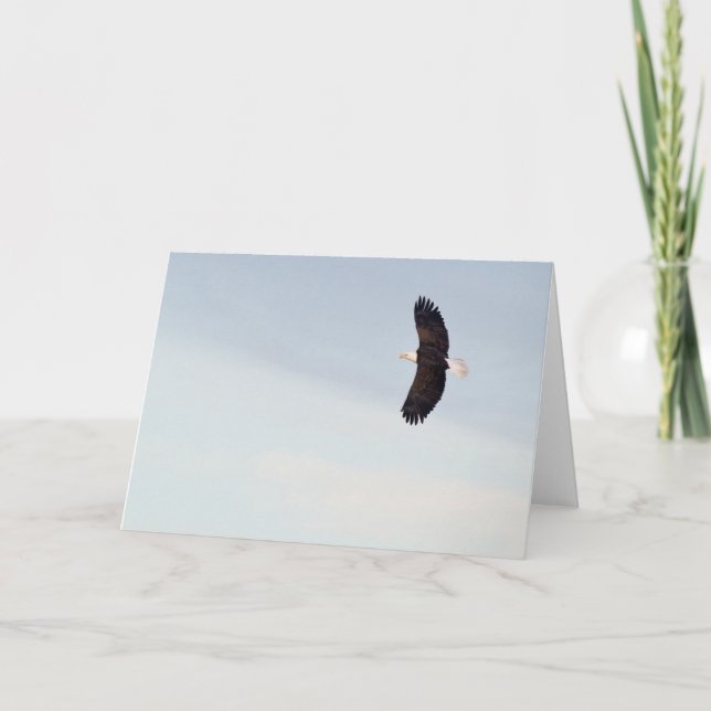 Cartão Bald Eagle flying Card (Frente)