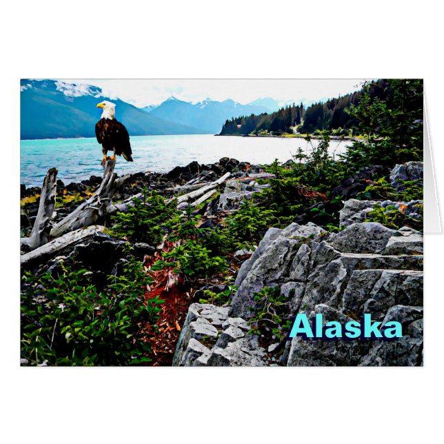 Cartão Bald Eagle Na Costa Do Alasca (Frente Horizontal)