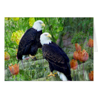 Cartão Bald Eagles