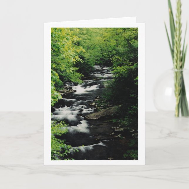 Cartão Bald River Cascades Greeting Card (Frente)