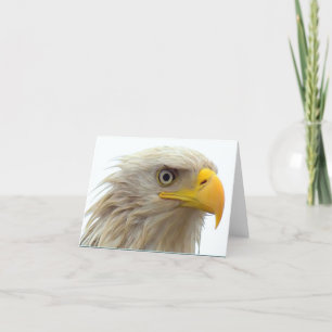 Cartão Baldeagleupclose