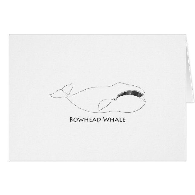 Cartão Baleia de Bowhead (linha ilustração da arte) (Frente Horizontal)
