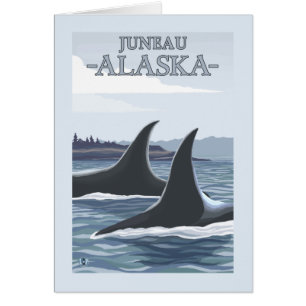 Cartão Baleias #1 da orca - Juneau, Alaska