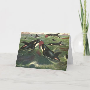 Cartão Baleias Assassinas e Orcas, Mamíferos Marinhos Vin