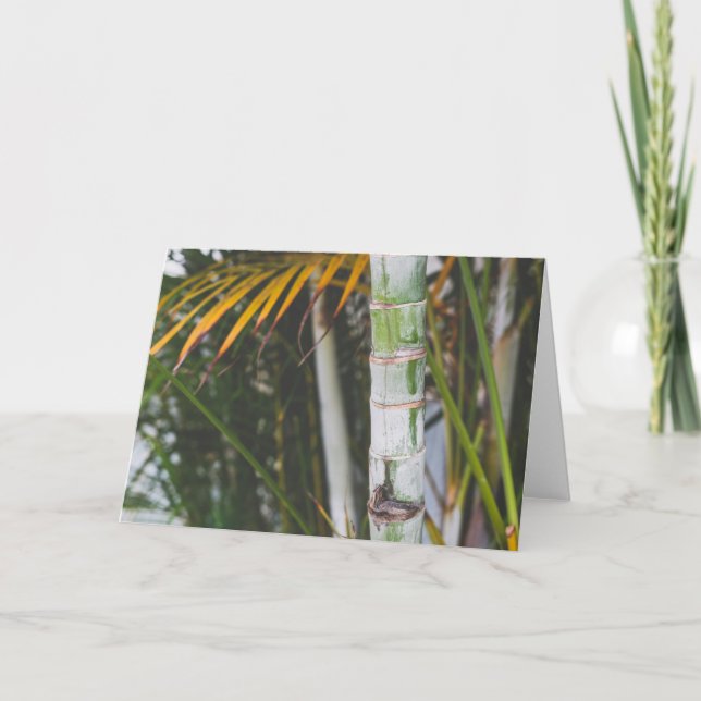 Cartão Bambu de México (Frente)