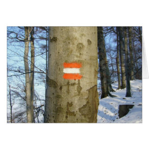 Cartão bandeira de árvore da áustria