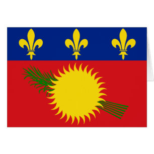 Cartão Bandeira de Guadalupe