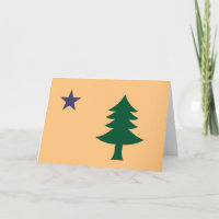 Bandeira histórica do Maine (1901-1909)