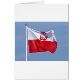 CARTÃO BANDEIRA POLONESA