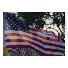 Cartão Bandeiras do Dia do Memorial dos Estados Unidos, C