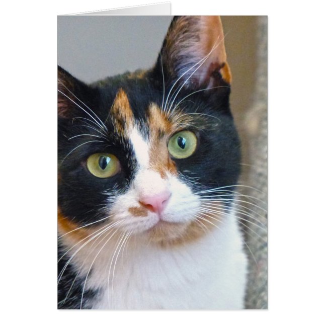 Cartão Bandido (Frente)