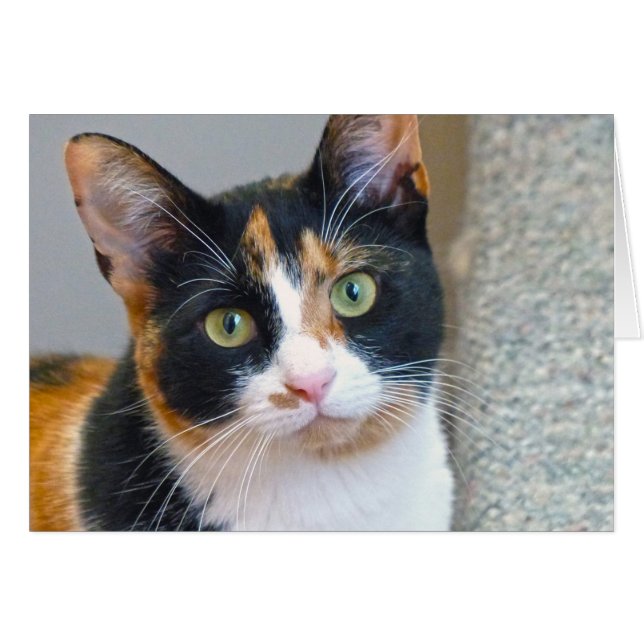 Cartão Bandido (Frente Horizontal)