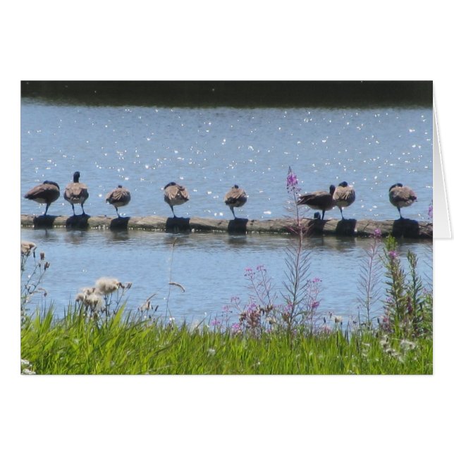 Cartão Bando de Patos em um Log (Frente Horizontal)