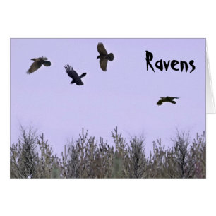 Cartão Bando de Ravens