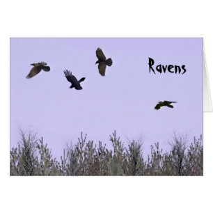 Cartão Bando de Ravens