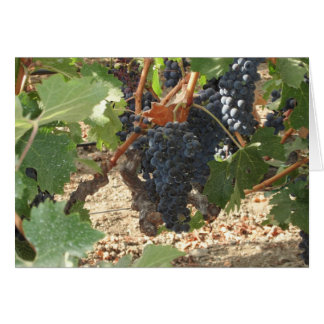 Cartão Bando de Uvas