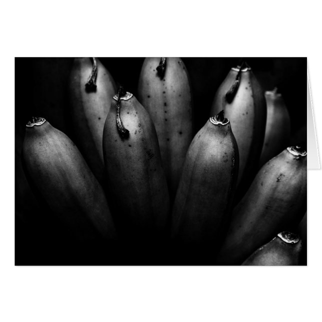 Cartão bando divertido (Frente Horizontal)