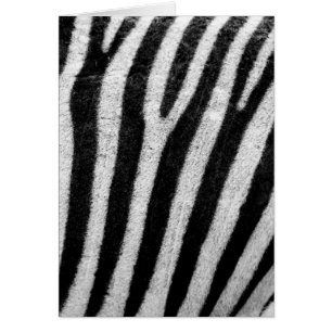 Cartão Banheiras de Cabelo de Zebra Negra e Branca