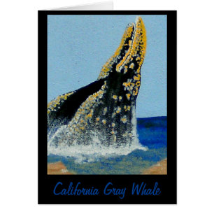 Cartão Banheiras do Bubblepacific