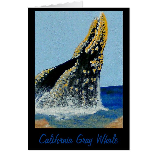 Cartão Banheiras do Bubblepacific (Frente)