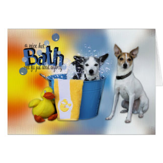 Cartão Banho quente - rato Terrier