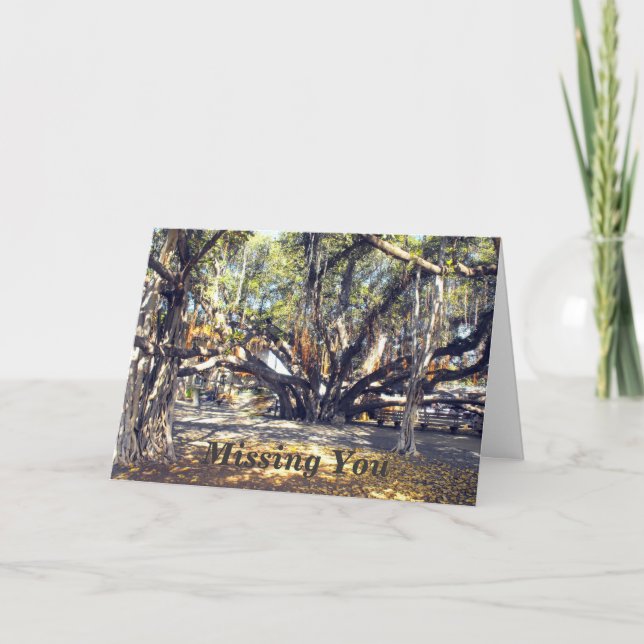 Cartão Banyon Tree em Lahaina Maui, Sente Sua Falta (Frente)