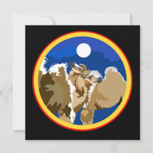 Cartão Baraka e Sim!