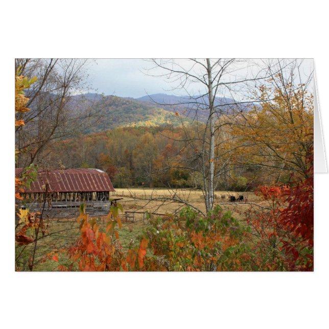 Cartão Barão com vacas (Frente horizontal)