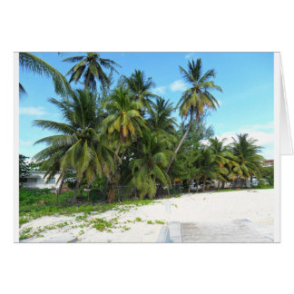 Cartão Barbados 2010 279