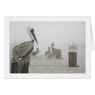 Cartão Barco dos pelicanos e do camarão