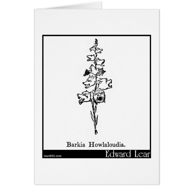 Cartão Barkia Howlaloudia. (Frente)
