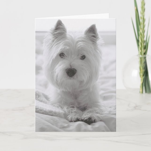 Cartão Barko in Bed (Frente)