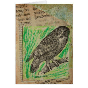Cartão Barn Owl