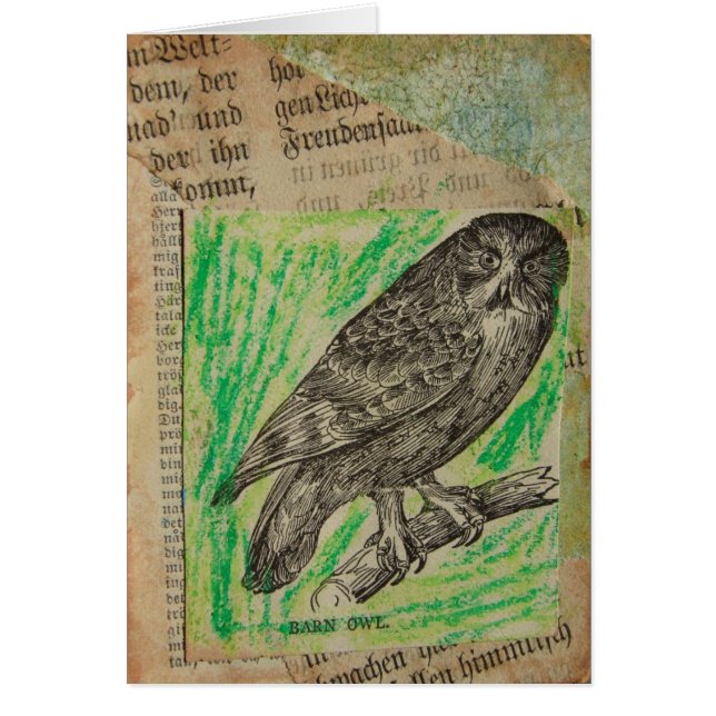 Cartão Barn Owl (Frente)