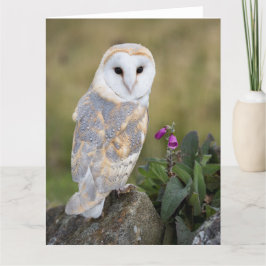 Cartão Barn Owl and Foxglove