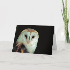 Cartão Barn Owl Blank Inside All Occassions