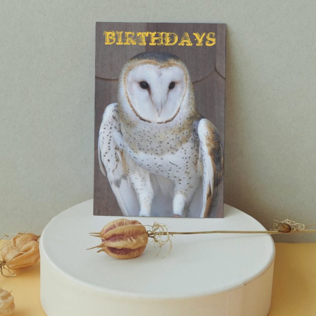 Cartão Barn Owl Photo Funny Birthday Card (In Situ)