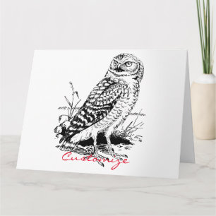 Cartão Barn Owl Thunder_Cove
