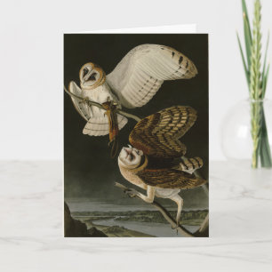 Cartão Barn Owl (Tyto alba) Audubon's Birds of America