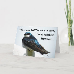 Cartão Barn Swallow I'm Sorry